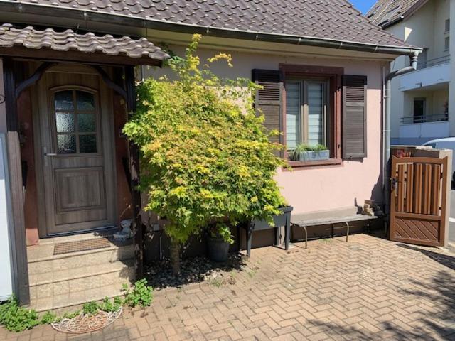 La Maison D'A Cote De Strasbourg Илкирш-Графенщаден Екстериор снимка